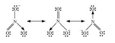 NCERT Solutions for Class 11 Science Chemistry Chapter 4 - Chemical Bonding And Molecular Structure 