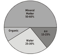 Environment Factors
