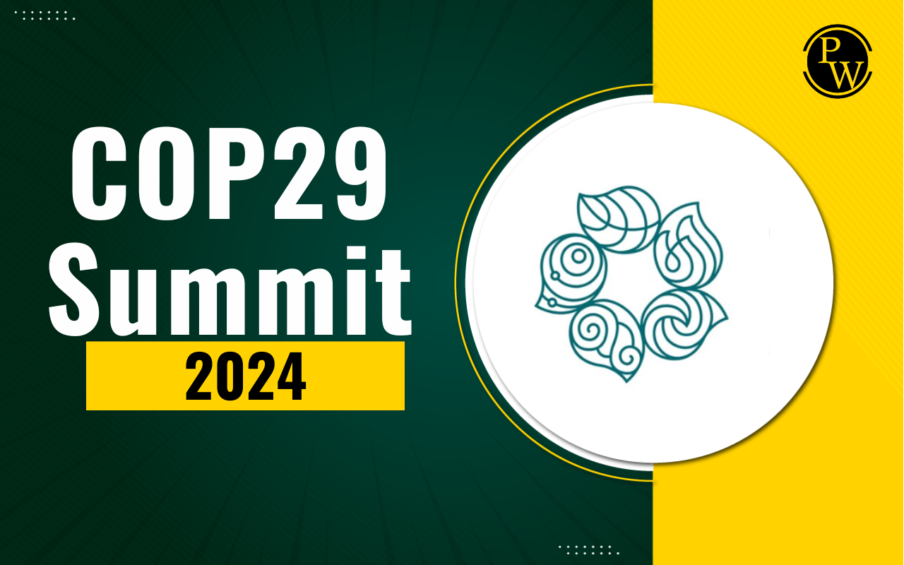 COP29 Summit 2024