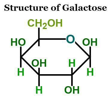 Galactose Formula