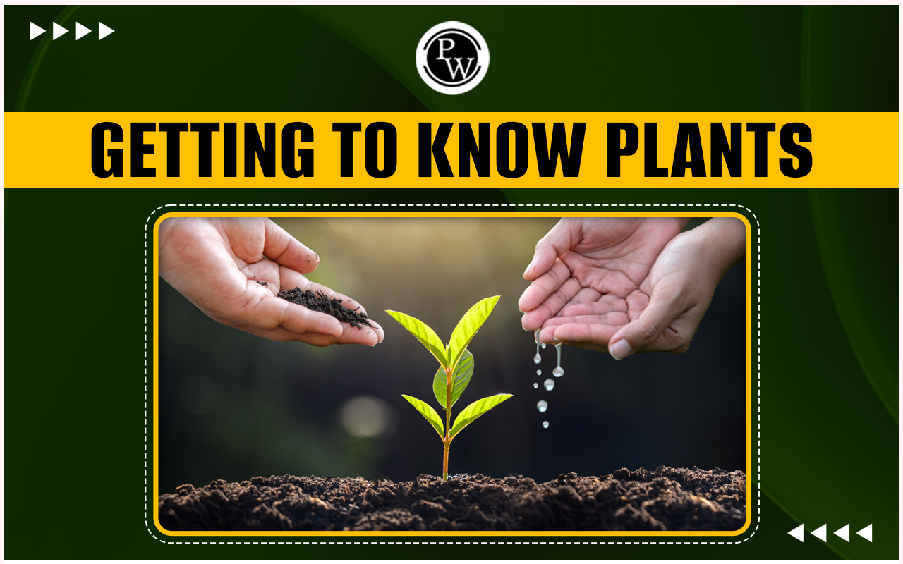 Getting to Know Plants System