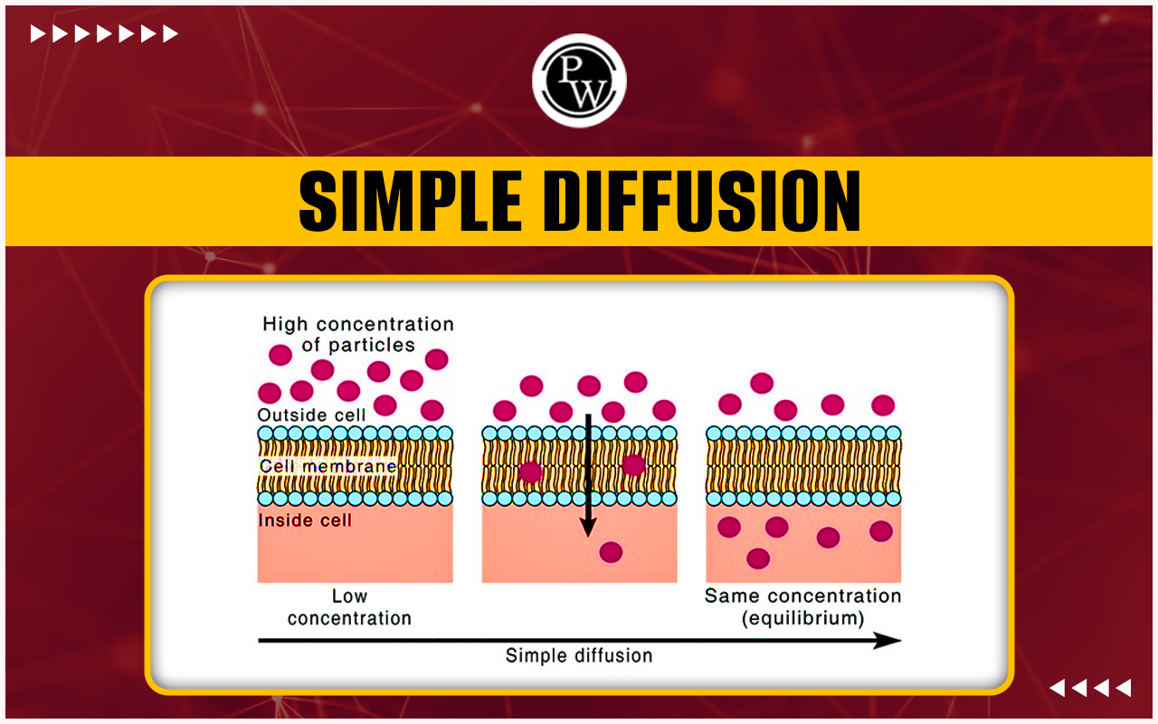 Simple Diffusion