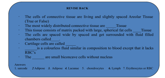 ANIMAL TISSUES