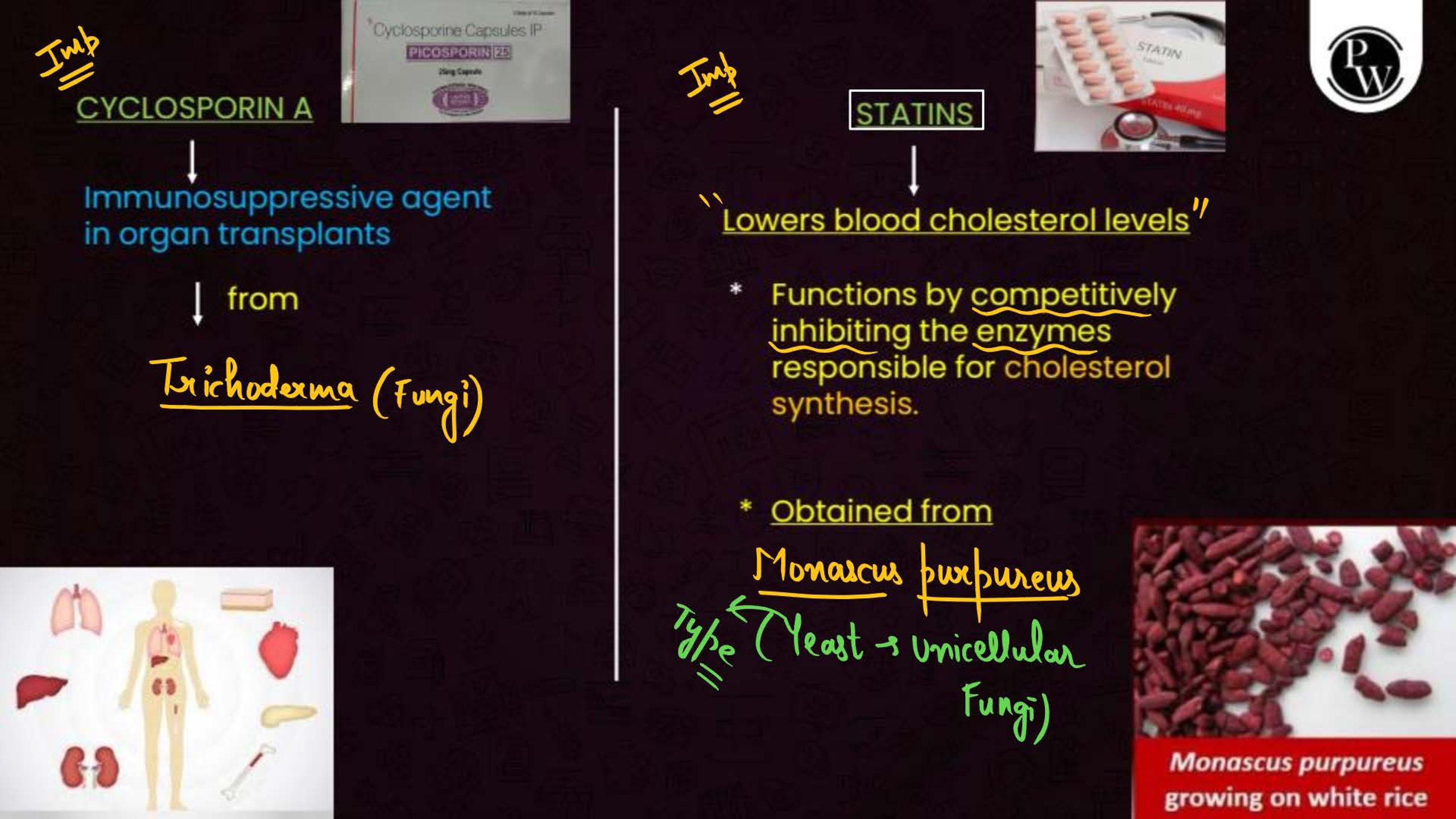 Microbes in Human Welfare NEET Notes