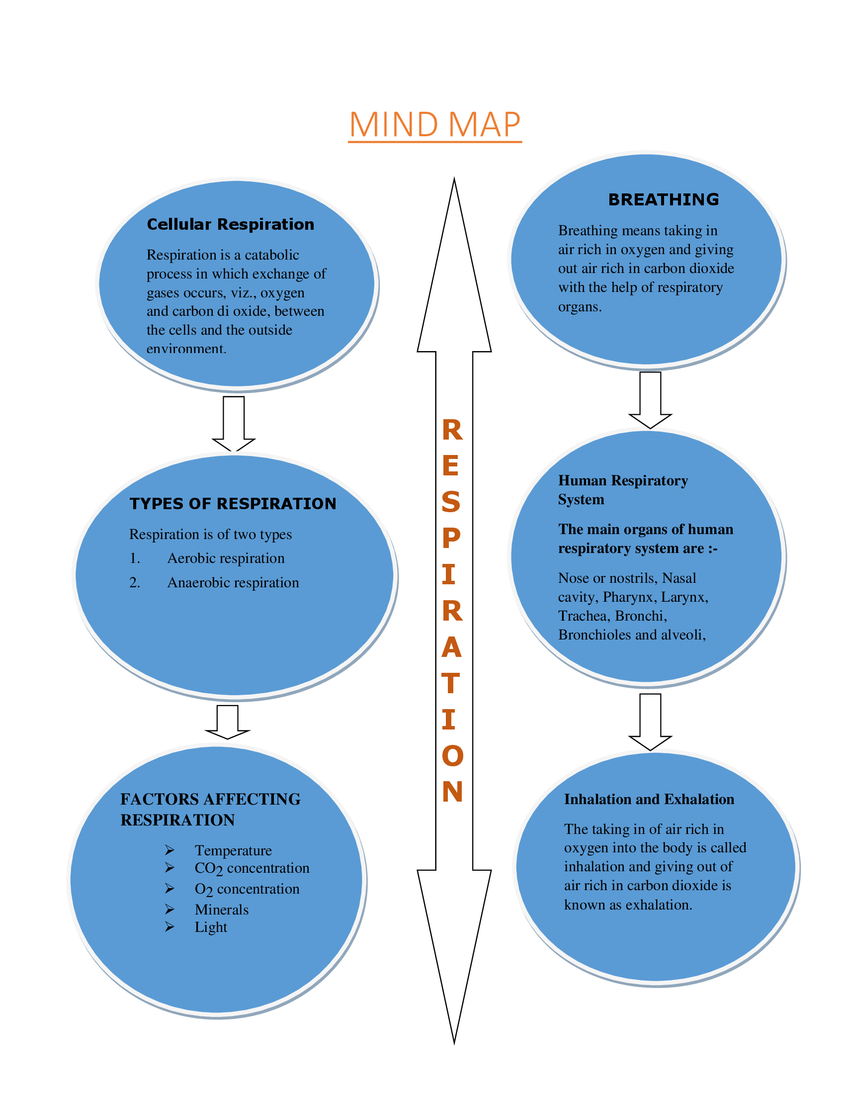 respiration mind map