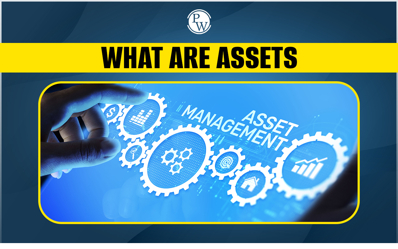 What are Assets
