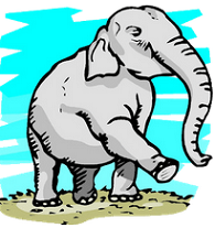 elephant
