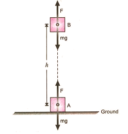 POTENTIAL ENERGY