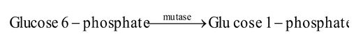 Chemical Nature of Enzymes