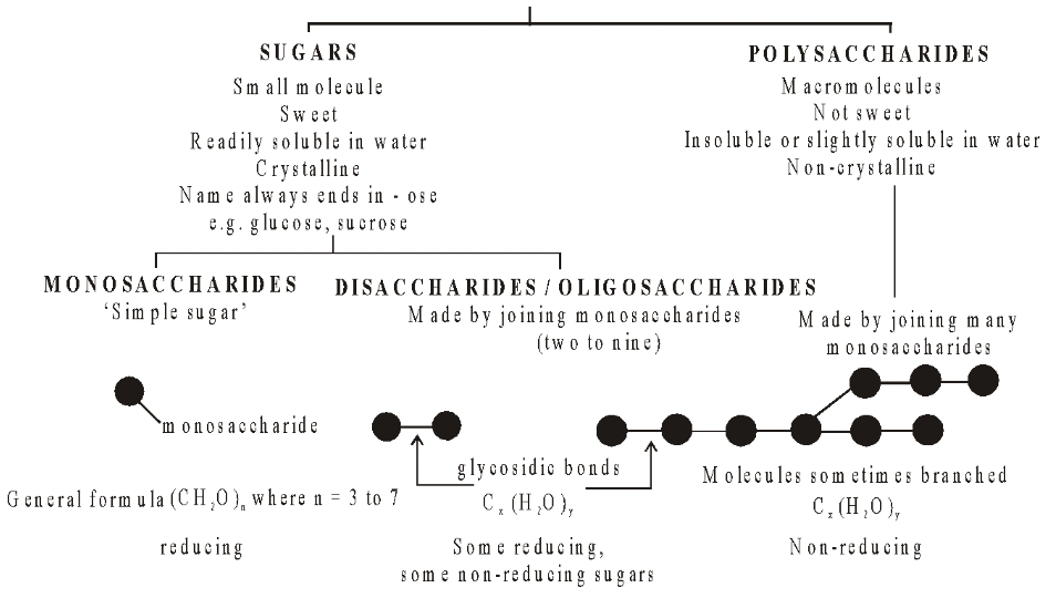 Structural Polysaccharides