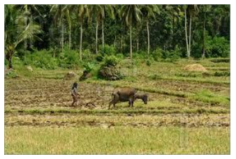Types Of Farming In India