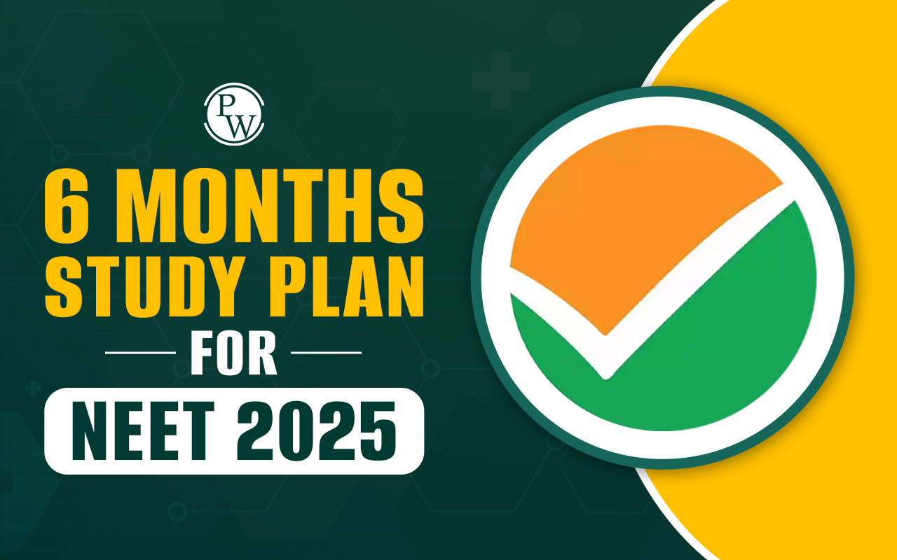 NEET 6 Months Study Plan