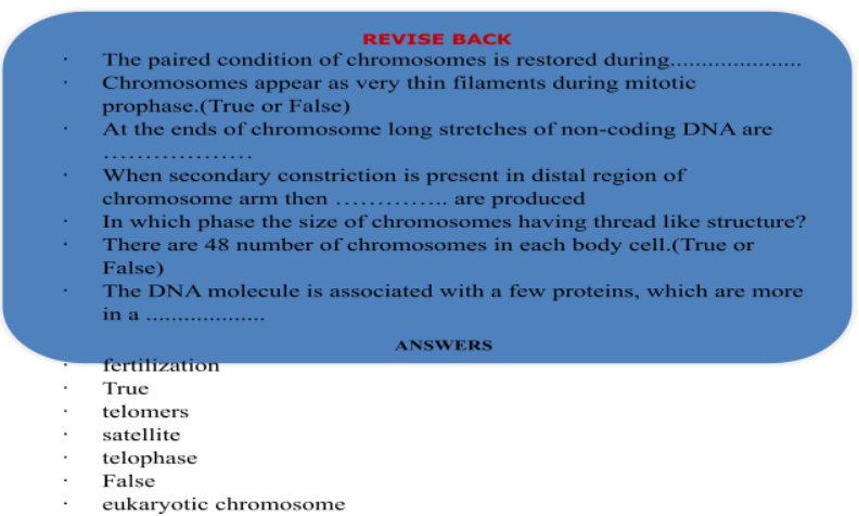 Chromosomes 