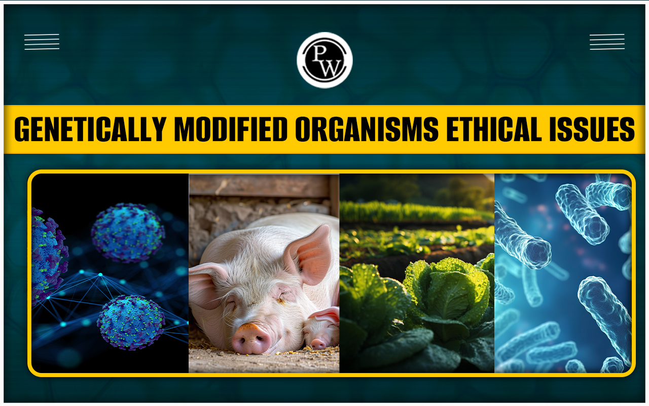 Genetically Modified Organisms Ethical Issues