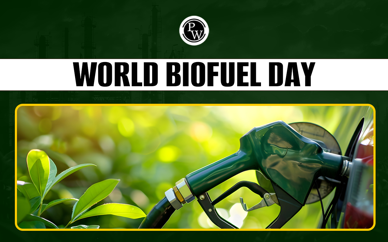 World Biofuel Day