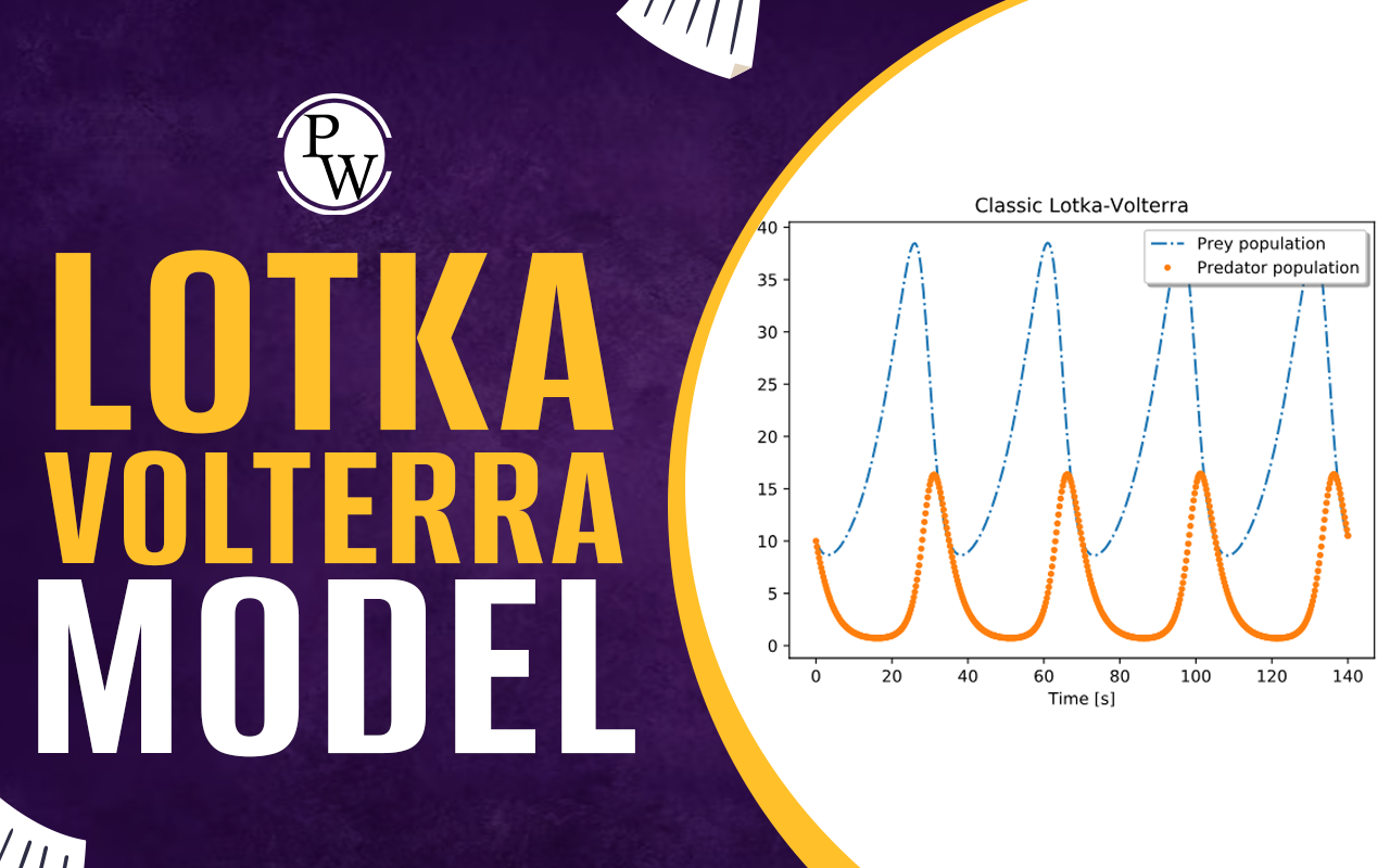 Lotka Volterra Model