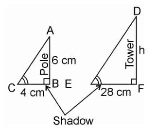 ncert solutions class 10 chapter 6 Ncert solutions class 10 chapter 6-26