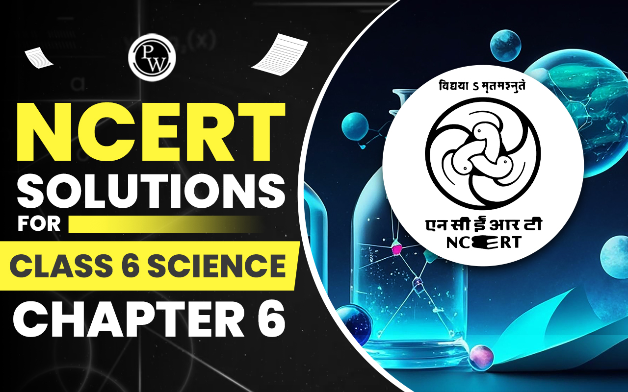 NCERT Solutions for Class 6 Science Chapter 6
