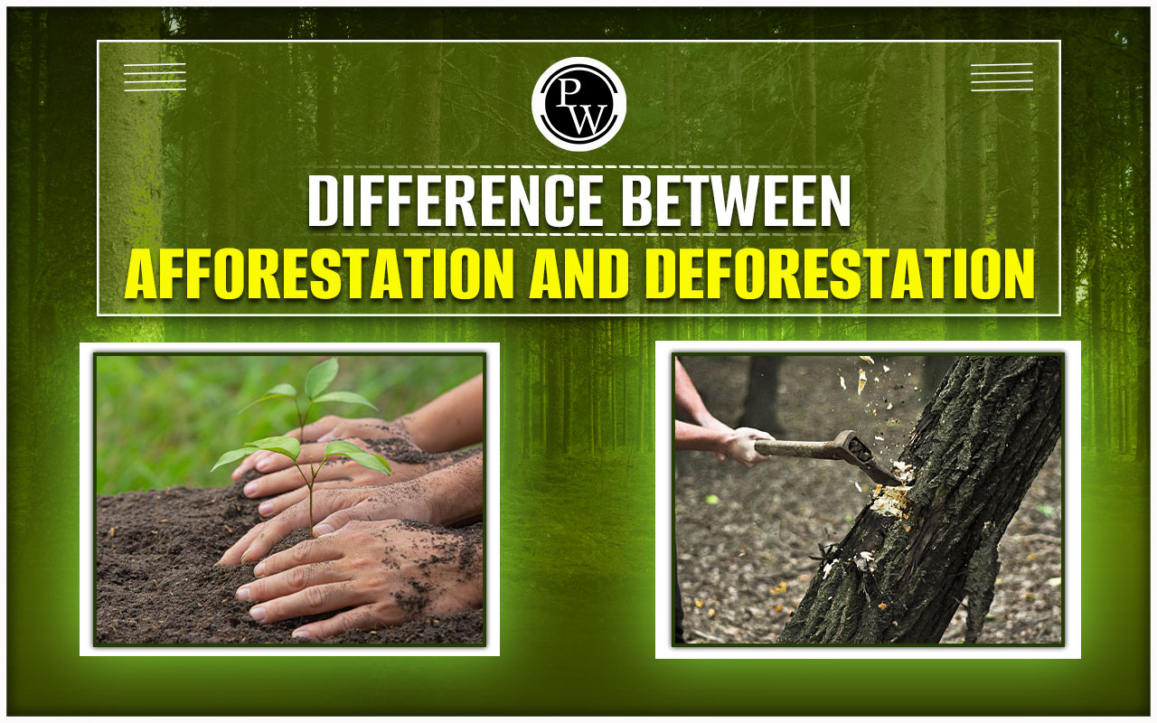 Difference Between Afforestation and Deforestation