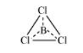 NCERT Solutions for Class 11