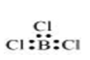NCERT Solutions for Class 11
