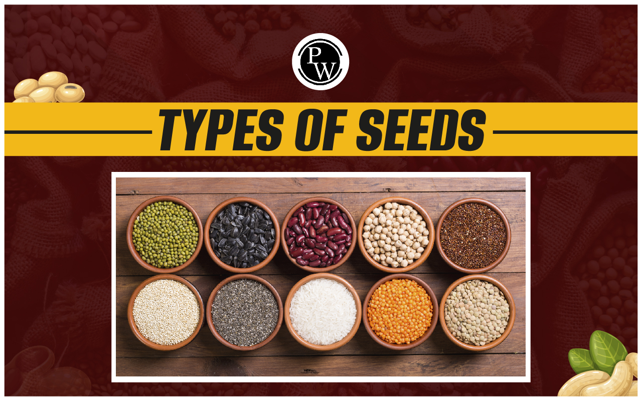 Types of Seeds