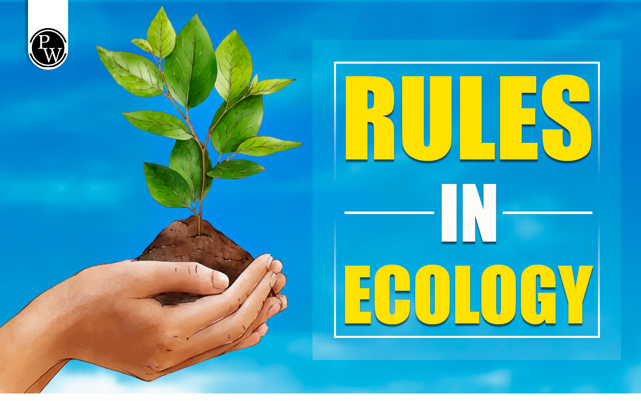 Rules in Ecology