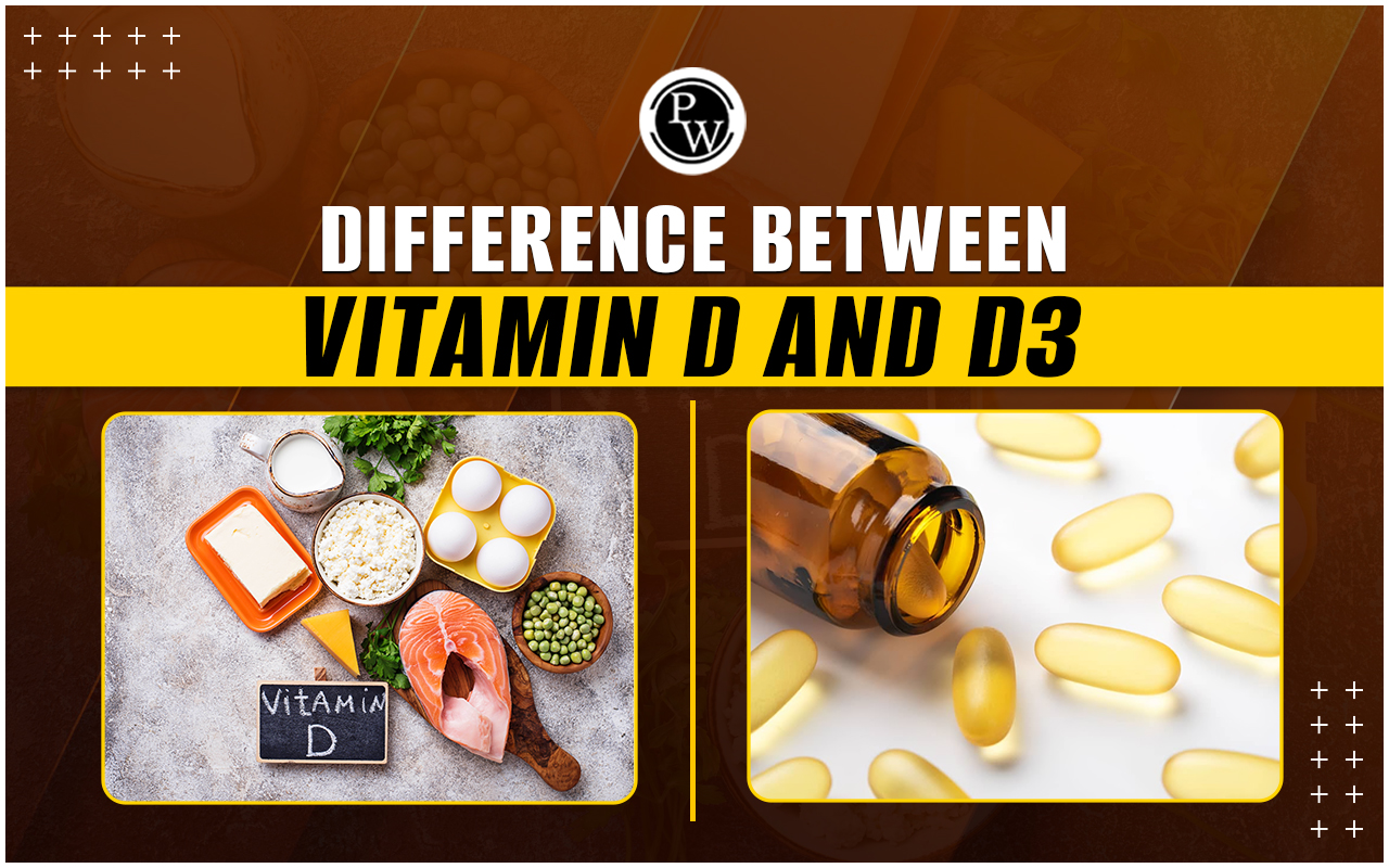 Difference Between Vitamin D and D3