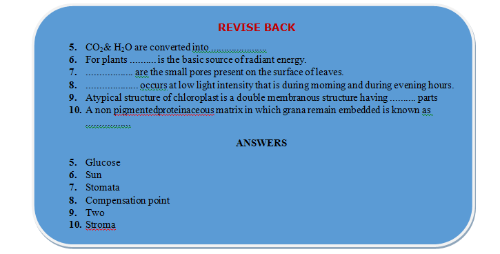 nutrition in plants revision
