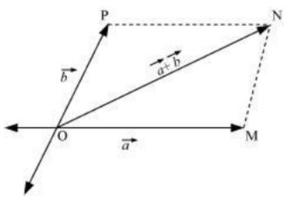 NCERT Solutions for Class 11 Physics  chapter 4-Motion In A Plane