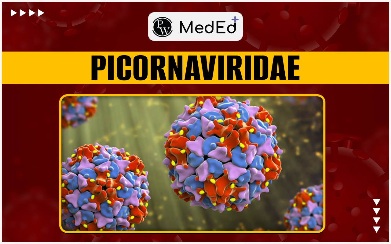 Picornaviridae History, Family Group, Classification, Features