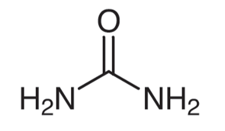 Structure of Urea