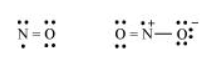 NCERT Solutions for Class 11