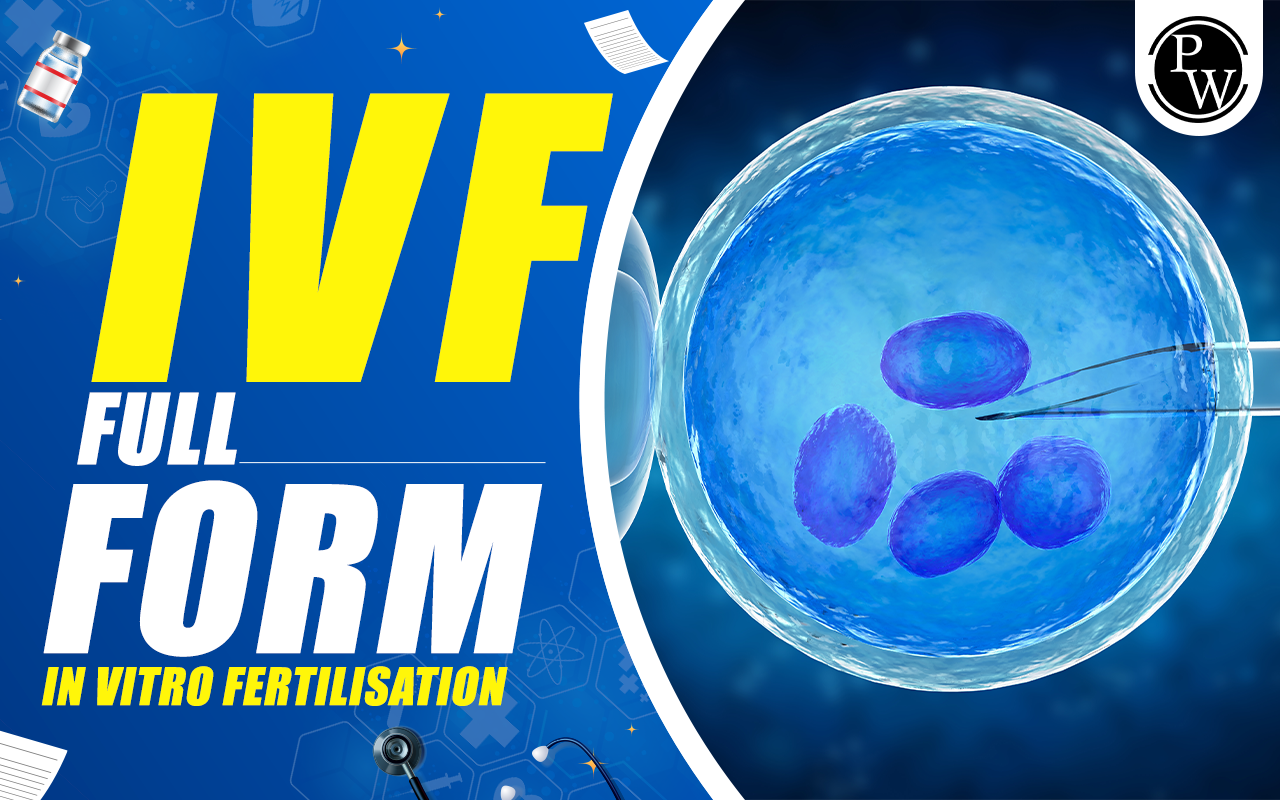 IVF Full Form
