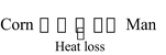 heat loss between corn and man