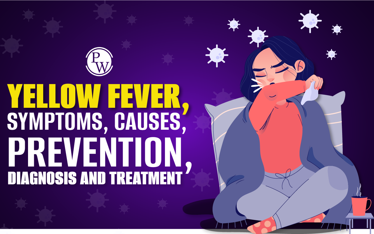 Yellow Fever, Symptoms, Causes, Prevention, Diagnosis and Treatment