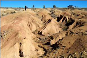 Soil resources