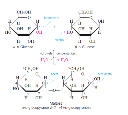 Oligosaccharides