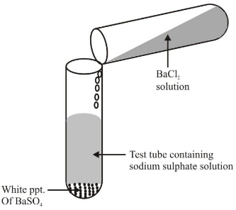Double Displacement Reactions