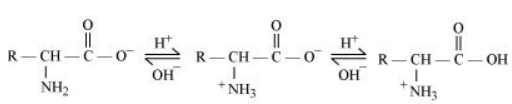 NCERT Solutions for Class 12  Chemistry Chapter 14 - Biomolecules