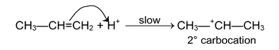Mechanism Of Organic Reaction
