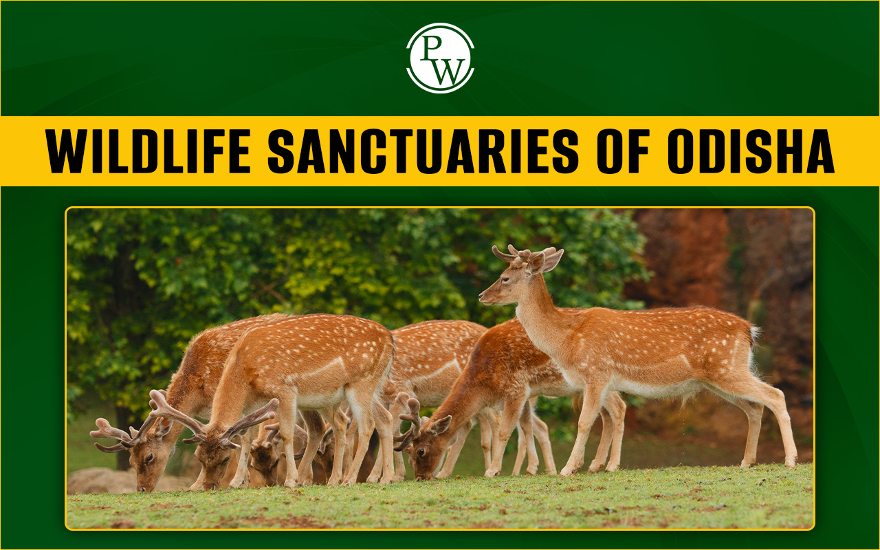 Wildlife Sanctuaries of Odisha 