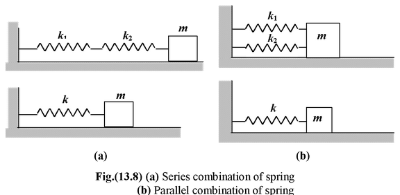 The Spring-Mass System
