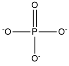 Phosphate Formula 