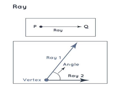 Rays