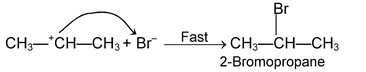 Mechanism Of Organic Reaction