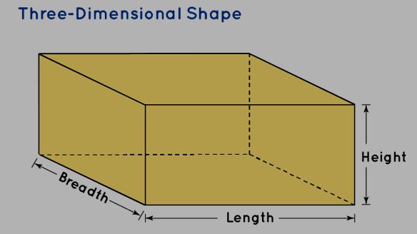 Three Dimensional Shape