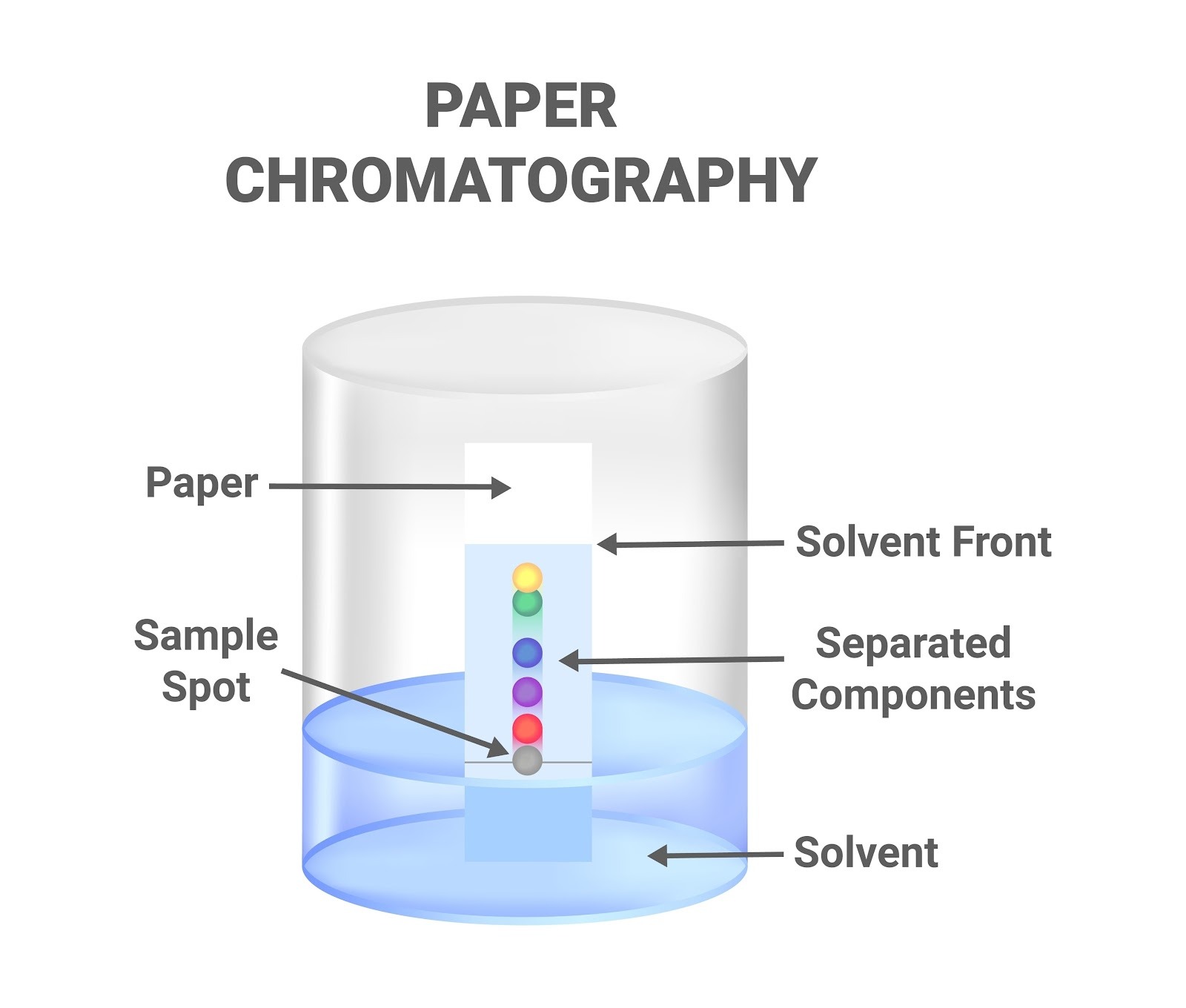 Image of paper chromatography experiment