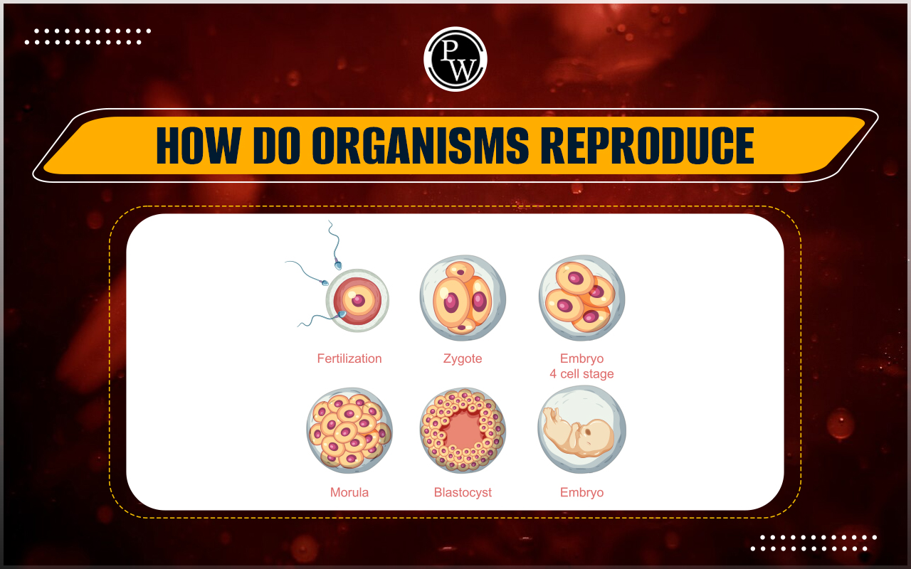 How Do Organisms Reproduce