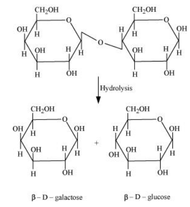 NCERT Solutions for Class 12  Chemistry Chapter 14 - Biomolecules